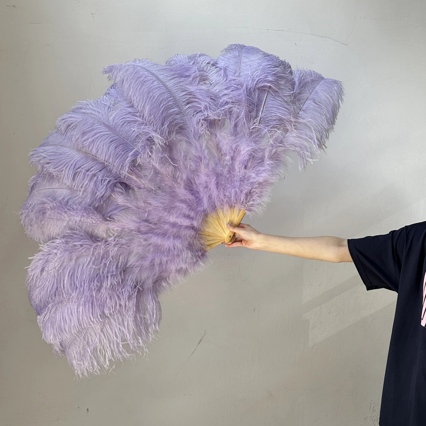 Burlesque solfjädrar