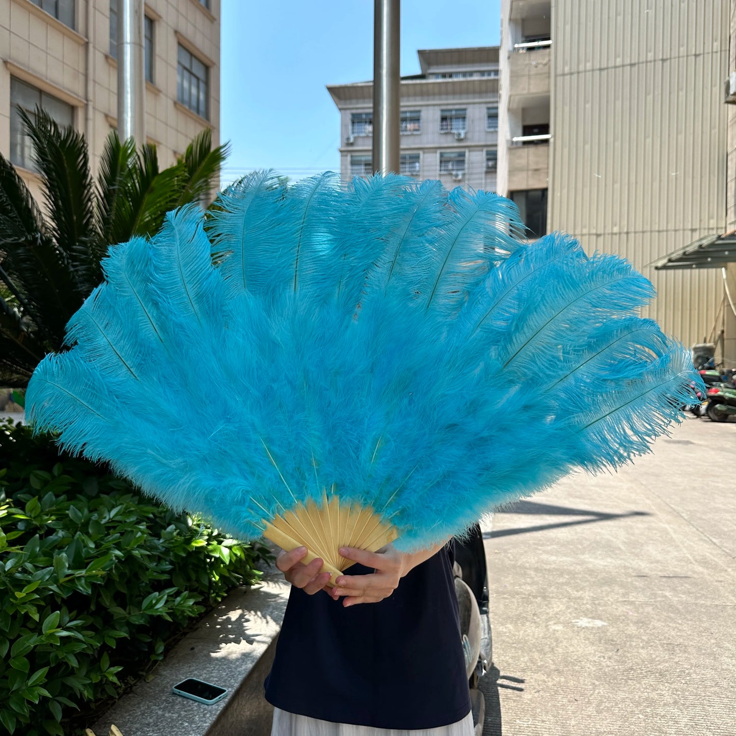 Burlesque solfjädrar