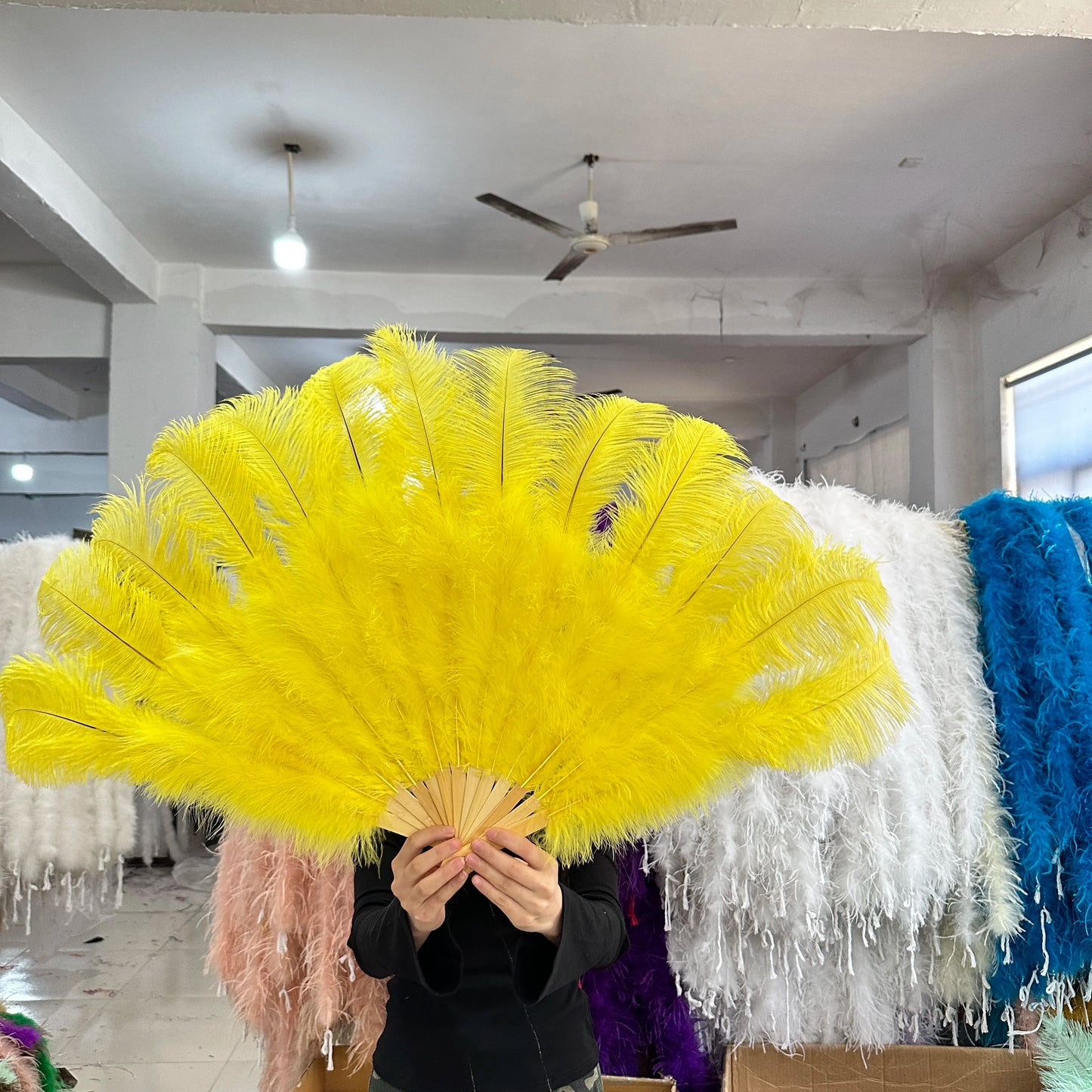 Burlesque solfjädrar